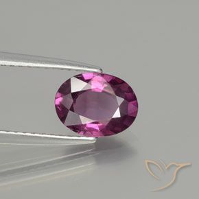rodolita granada Roxo profundo Natural 1.65ct, oval, VS