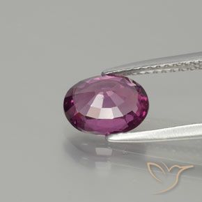 rodolita granada Roxo profundo Natural 1.65ct, oval, VS