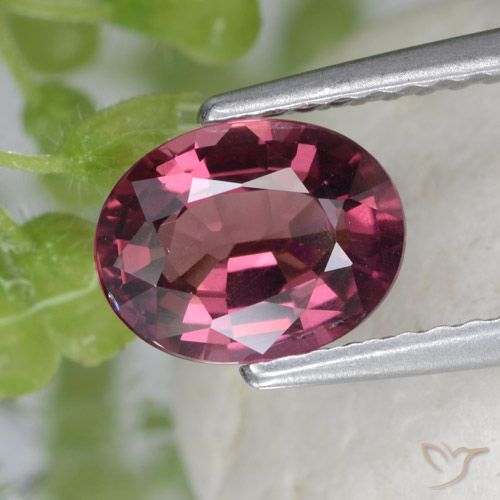 1.53ct Natural roxo médio rodolita granada, oval, VS