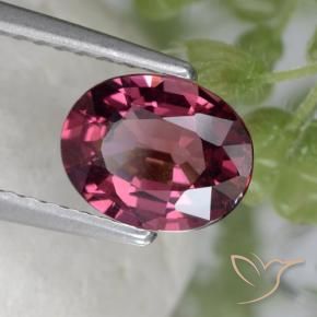 rodolita granada roxo médio Natural 1.53ct, oval, VS