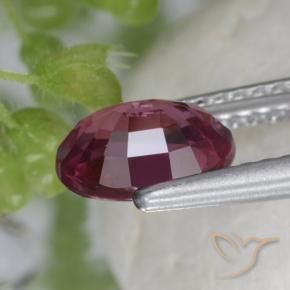 rodolita granada roxo médio Natural 1.53ct, oval, VS