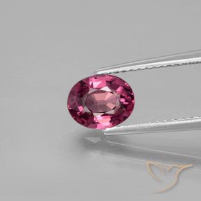 1.45ct Natural roxo médio rodolita granada, oval, VVS-VS