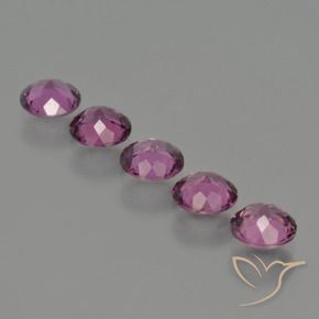 Pedras preciosas de rodolita granada Roxo médio-escuro natural de 2.69 ct, Redondo, VS