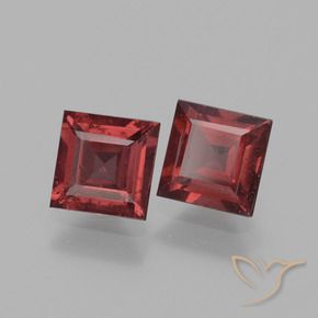 Pedras preciosas de rodolita granada Vermelho escuro natural de 1.53 ct, Quadrado, VS
