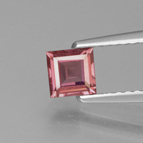 Granada rodolita rosa natural 0,52ct, quadrado, VS