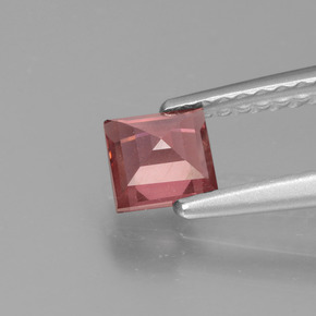 Granada rodolita rosa natural 0,52ct, quadrado, VS