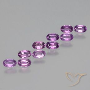 Pedras preciosas de rodolita granada Roxo médio-escuro natural de 2.67 ct, oval, VS