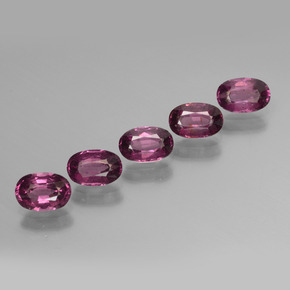 Pedras preciosas de granada rodolita rosa natural de  ct, corte oval, VS
