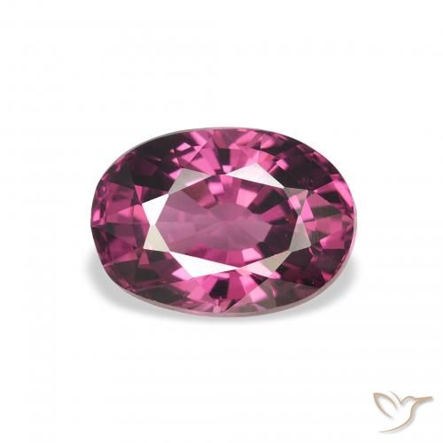 2.67ct Natural roxo médio rodolita granada, oval, VVS
