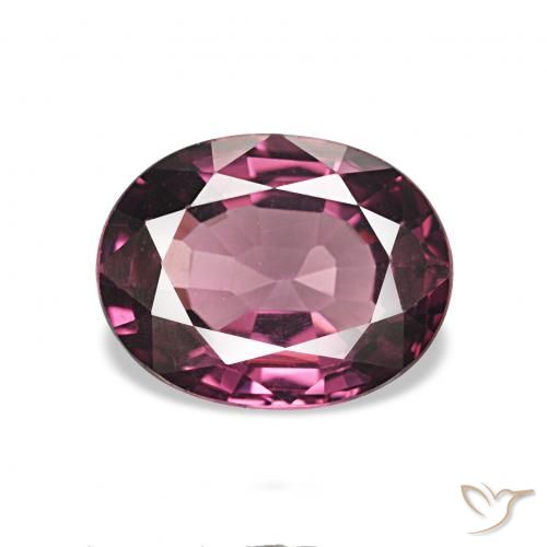 1.50ct roxo médio rodolita granada, oval, VVS