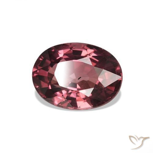 rodolita granada tom roxo-vermelho Natural 1.10ct, Corte Oval, VS