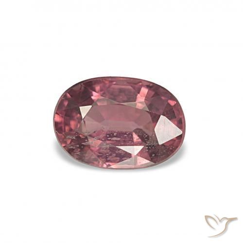 Rodolita Granada tom roxo-vermelho Natural 1.16ct, Corte Oval, VS-SI
