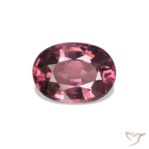 1.02ct Magenta-rosa escuro rodolita granada Pedras Preciosas, oval, VS
