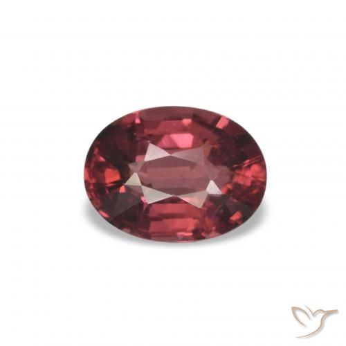 1.09ct Vermelho escuro rodolita granada Pedras Preciosas, oval, VS