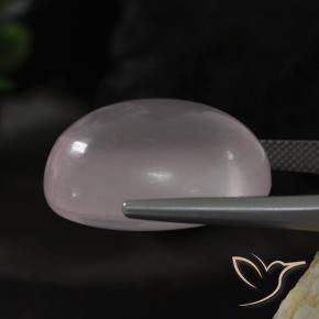Quartzo Rosa Rosa Rosa bem claro Natural 46.80ct, oval, Transparente