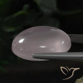 Quartzo Rosa rosa rosa Natural 33.08ct, oval, Transparente