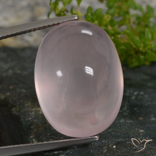 27.49ct Natural Rosa Claro Rosa Quartzo Rosa, oval, Translúcido