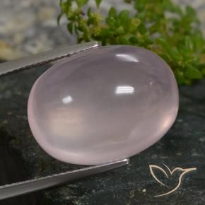 Quartzo Rosa Rosa Claro Rosa Natural 27.49ct, oval, Translúcido