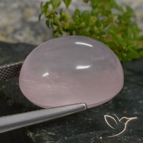 Quartzo Rosa Rosa Claro Rosa Natural 27.49ct, oval, Translúcido