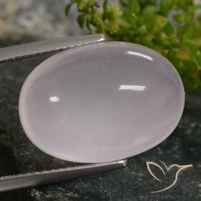 Quartzo Rosa Rosa bem claro Natural 16.02ct, oval, Translúcido