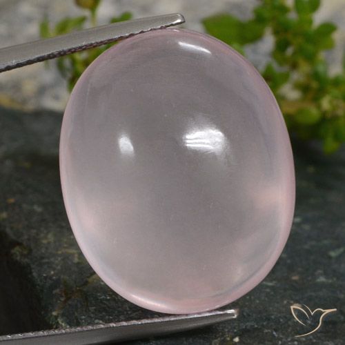 35.16ct Natural Coral Rosa Quartzo Rosa, oval, Translúcido