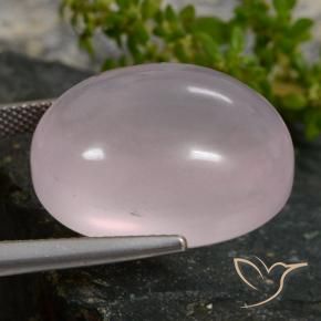 Quartzo Rosa Coral Rosa Natural 35.16ct, oval, Translúcido