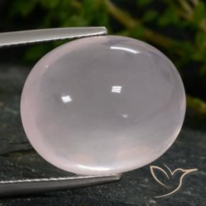 Quartzo Rosa Rosa bem claro Natural 15.67ct, oval, Translúcido