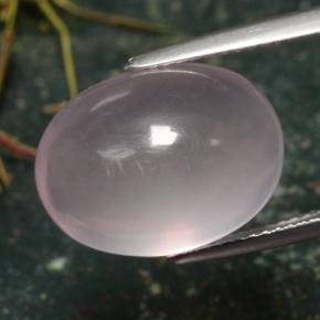 Quartzo rosa rosa natural 13,39ct, corte oval, translúcido