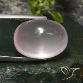 Quartzo Rosa rosa rosa Natural 20.08ct, oval, Transparente