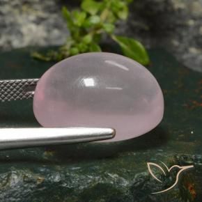 Quartzo Rosa rosa rosa Natural 20.08ct, oval, Transparente