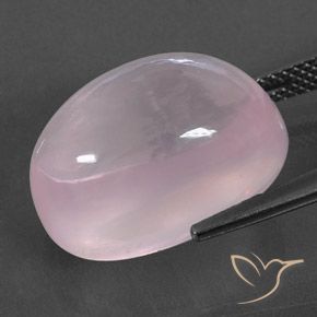 Quartzo Rosa Rosa chiclete Natural 19.62ct, oval, Transparente