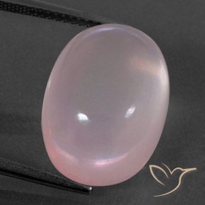 18.97ct Natural Rosa Claro Rosa Quartzo Rosa, oval, Transparente/Translúcido