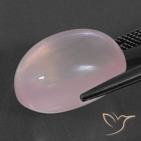 Quartzo Rosa Rosa Claro Rosa Natural 18.97ct, oval, Transparente/Translúcido