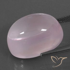 Quartzo Rosa Rosa chiclete Natural 20.28ct, oval, Transparente