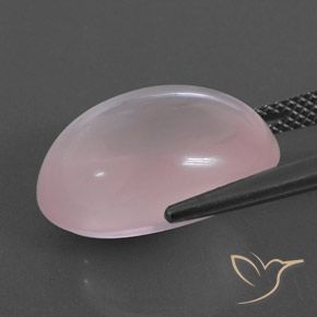 Quartzo Rosa Rosa Claro Rosa Natural 15.59ct, oval, Transparente
