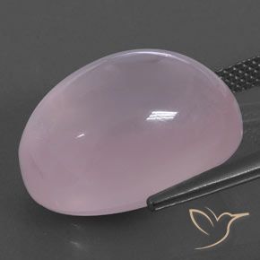 Quartzo Rosa rosa rosa médio Natural 18.30ct, oval, Transparente/Translúcido