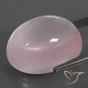 Quartzo Rosa rosa rosa Natural 28.99ct, oval, Transparente
