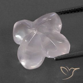 Quartzo Rosa Rosa Rosa bem claro Natural 8.83ct, Flor cortada, Transparente/Translúcido