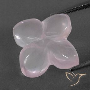 Quartzo Rosa Rosa Rosa bem claro Natural 7.62ct, Flor cortada, Transparente/Translúcido