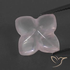 8.04ct Natural Rosa bem claro Quartzo Rosa, Flor cortada, Transparente/Translúcido