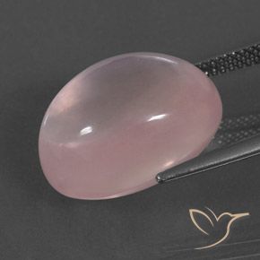 Quartzo Rosa rosa rosa Natural 17.78ct, oval, Transparente