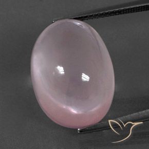18.91ct Natural Coral Rosa Quartzo Rosa, oval, Transparente