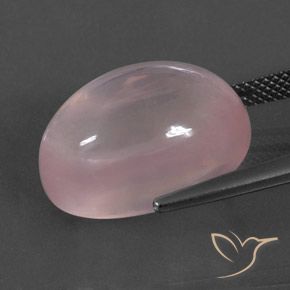 Quartzo Rosa Coral Rosa Natural 18.91ct, oval, Transparente