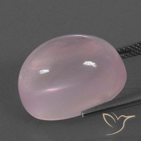 Quartzo Rosa Coral Rosa Natural 21.24ct, oval, Transparente