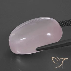 Quartzo Rosa Luz rosa Natural 59.07ct, oval, Transparente