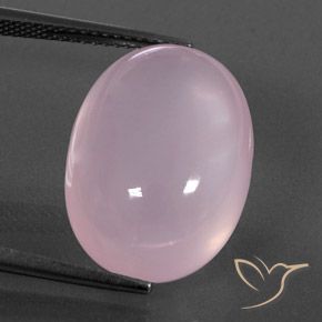 17.58ct Natural Rosa chiclete Quartzo Rosa, oval, Transparente/Translúcido
