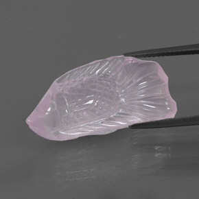 Quartzo rosa rosa natural 15,57ct, transparente, transparente/translúcido