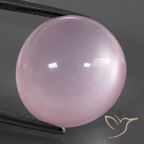 24.80ct Natural Luz rosa Quartzo Rosa, oval, Transparente/Translúcido
