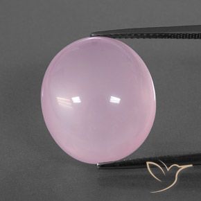 18.95ct Natural Luz rosa Quartzo Rosa, oval, Transparente/Translúcido
