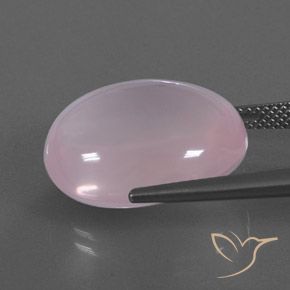 Quartzo Rosa Rosa chiclete Natural 22.00ct, oval, Transparente/Translúcido